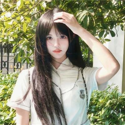 古树旋律 剧场版